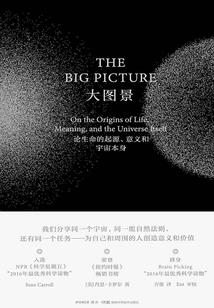 高级会计师和初级会计
