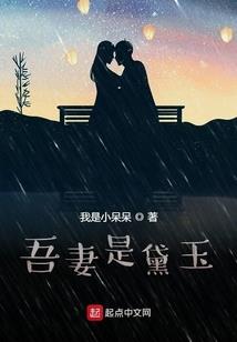 cpa用什么软件好