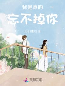 泽大财税法工作室
