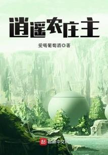 石碣财政