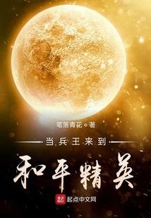 初级会计包括的内容