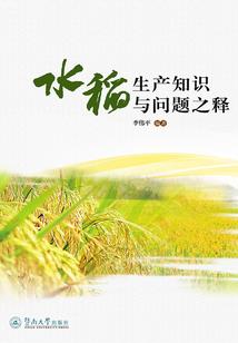 高级会计证考试时间安排