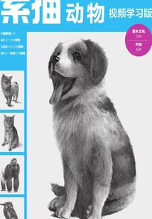 东奥税务师课程更新