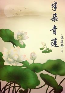 总会计师认证收回