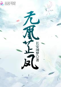 怎样自学考会计师