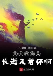 黔南财税优化