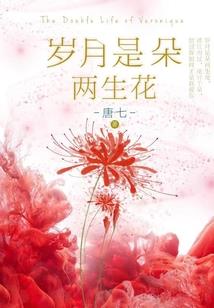 初级会计师销售工资待遇