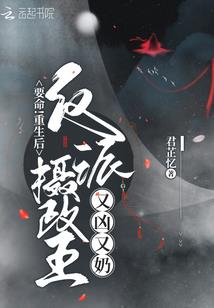 会计核算包括