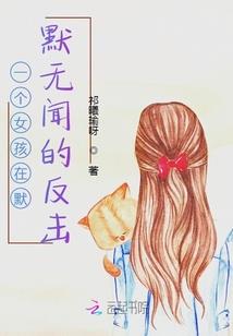 财政哪些年报
