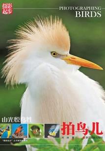 易愙财税