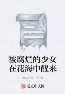个人收借款还款会计分录