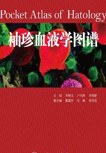 会计考试有几道题