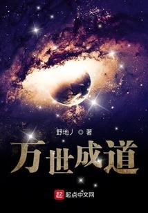 注会会计师复核