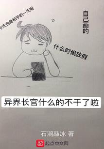 会计的总结报告