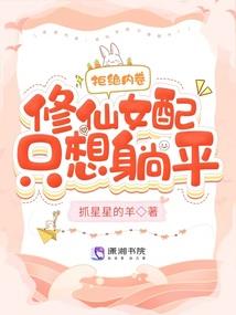 会计妻子文
