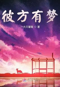 数字化会计考试内容