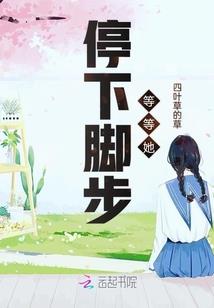 盐田财税公司如何办理