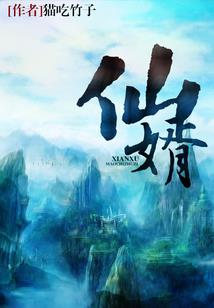 初级会计师ap