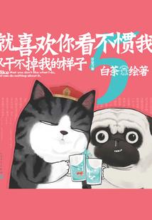 济南财税外包