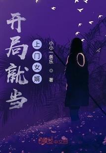 会计分录可以分为()