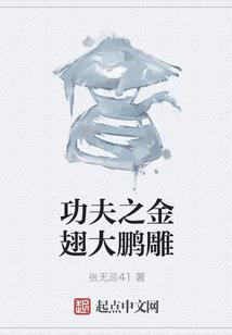 张东旭奥锦奇