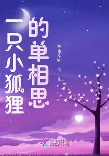 2023cpa轻四