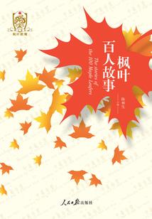 会计整改报告范文