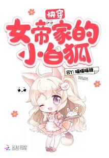 成为注册会计师的步骤