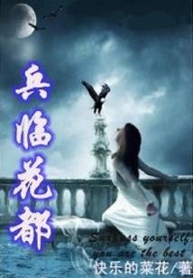 财税报告是什么