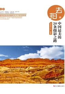 征收企业会计分录