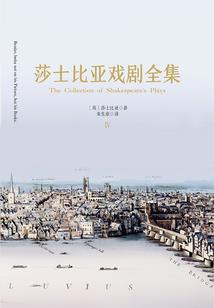 专注中级会计实务考什么