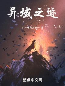 蜜蜂岛会计网校
