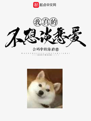 会计一年考证有几次考试