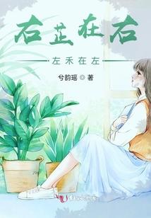 电视剧会计师出轨