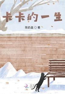 cpa报名晚点
