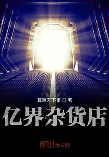 去美国做会计