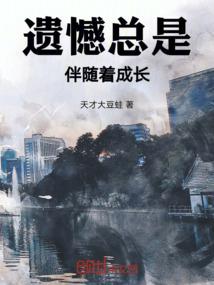 同时从事律师和会计师