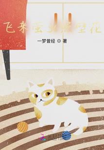 会计师相关书籍推荐