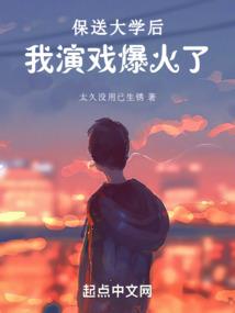 注册会计师会计计划