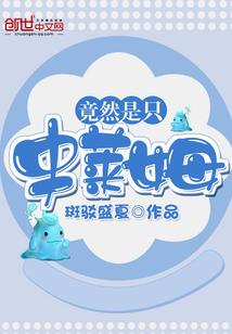 中级会计考试公式汇总