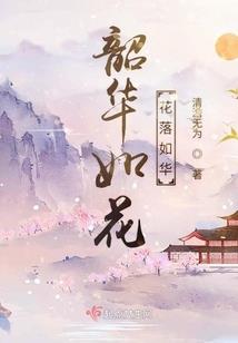 河南各市财政收入