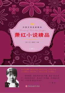 公司新来会计分录