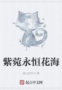 初级会计的表情包