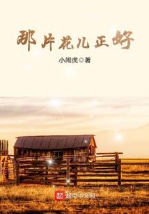 注册会计师童鞋