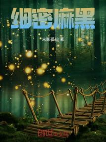 阳朔财税咨询