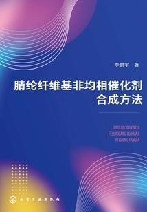 注册会计师网络审计