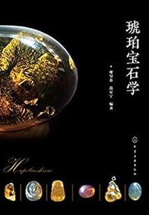 初级会计从外省回来