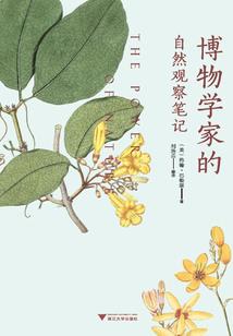 财务内控中级会计