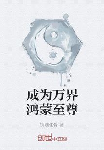 蓝月亮的会计