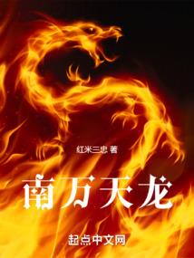 女生会计事务所